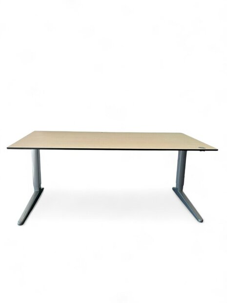 Bureau - Four-Two - Elektrisch - Zilvergrijs - 160x80 - Ahorn