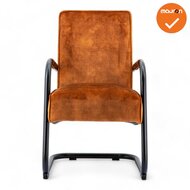 Albany - Vergader/Eetkamerstoel - Adore Cognac